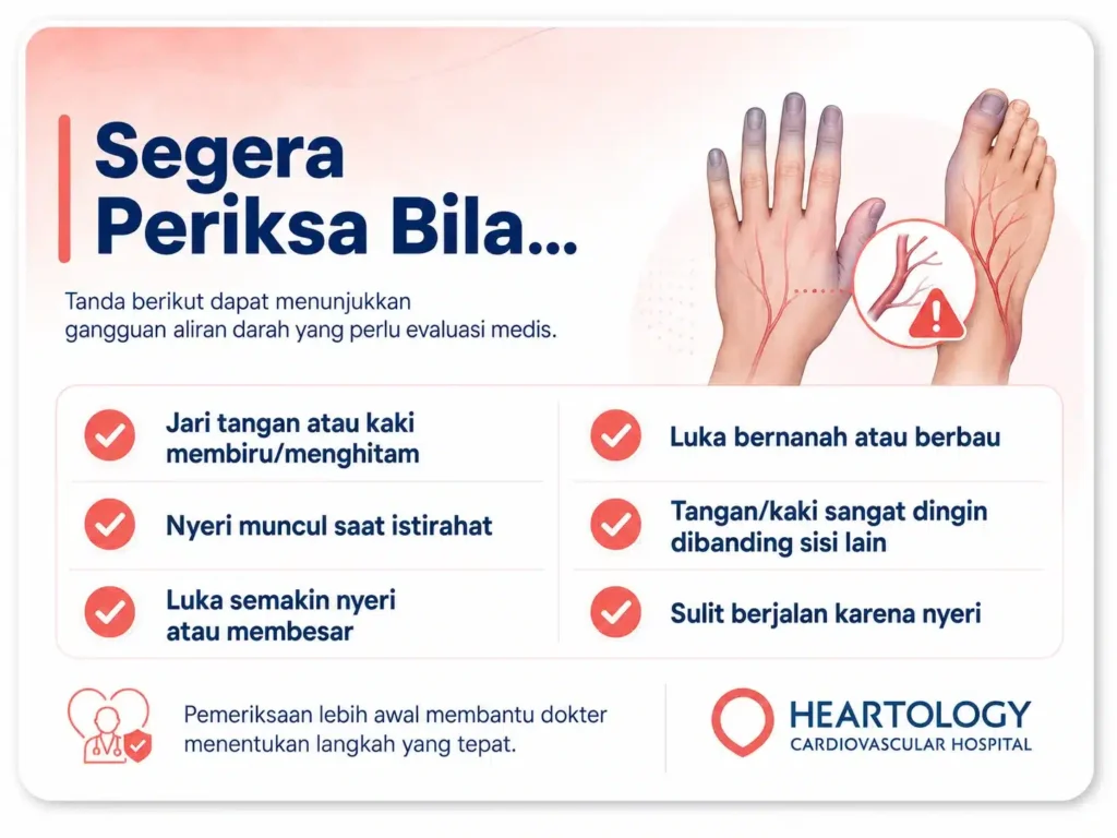 Infografik medis Heartology mengenai tanda bahaya Penyakit Buerger dengan judul “Segera Periksa Bila…”, berisi gejala seperti jari tangan atau kaki membiru atau menghitam, nyeri saat istirahat, luka semakin nyeri atau membesar, luka bernanah atau berbau, tangan atau kaki sangat dingin dibanding sisi lain, dan sulit berjalan karena nyeri.