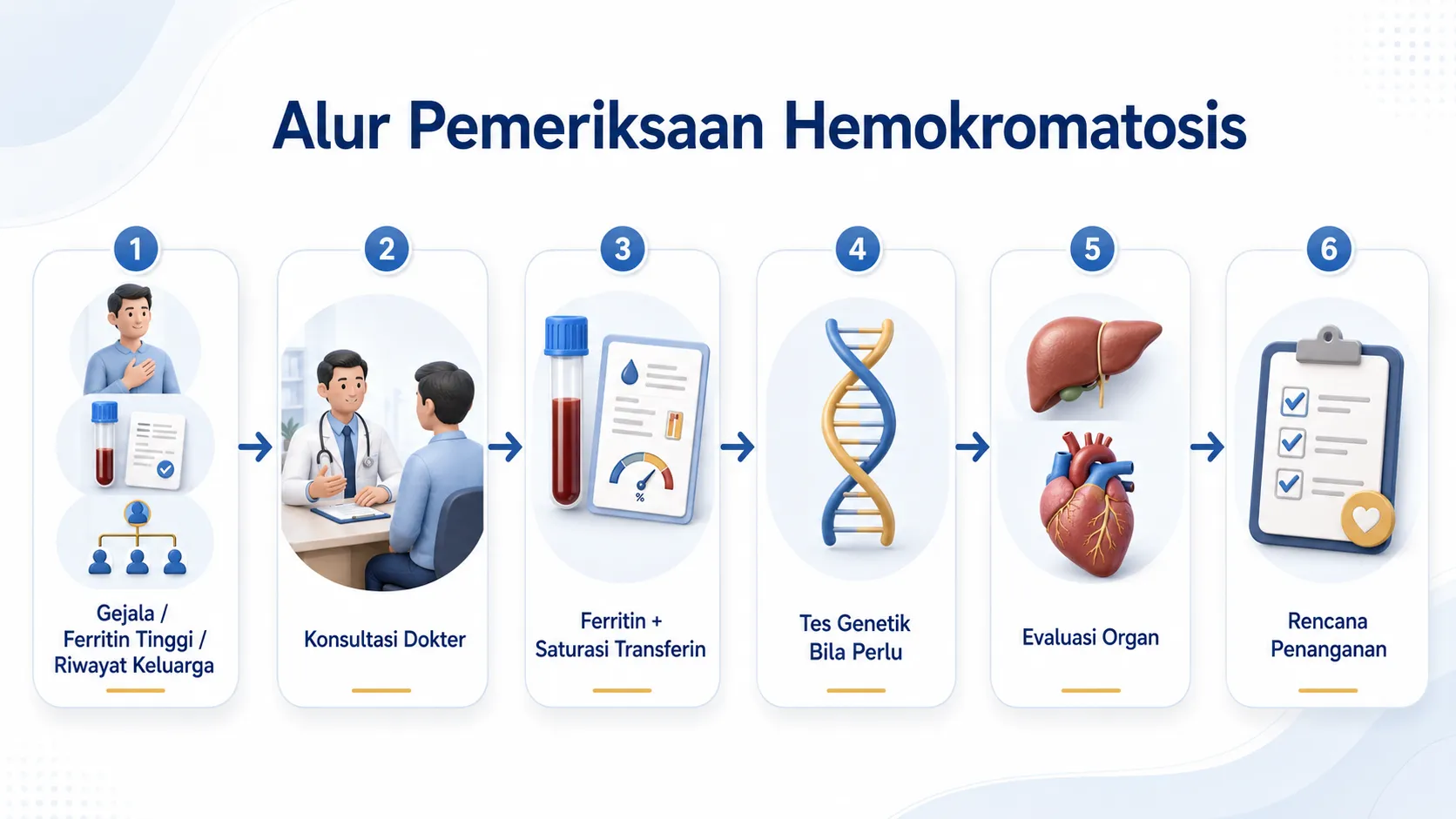 Infografis alur pemeriksaan hemokromatosis
