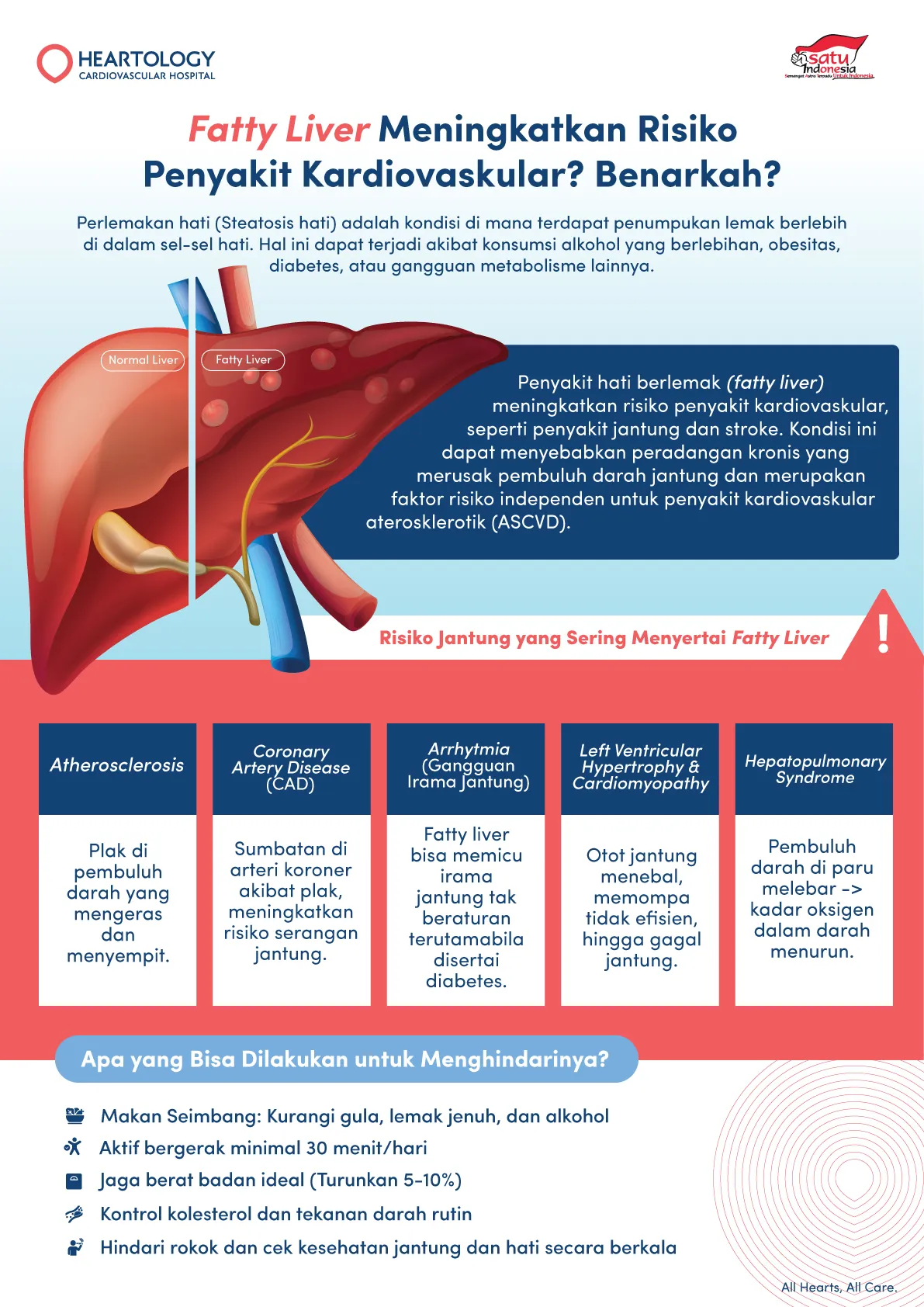 Gambar: Infografis ini menjelaskan hubungan antara fatty liver (perlemakan hati) dan risiko penyakit kardiovaskular. Ditampilkan perbandingan hati normal dan hati berlemak, penjelasan bagaimana kondis