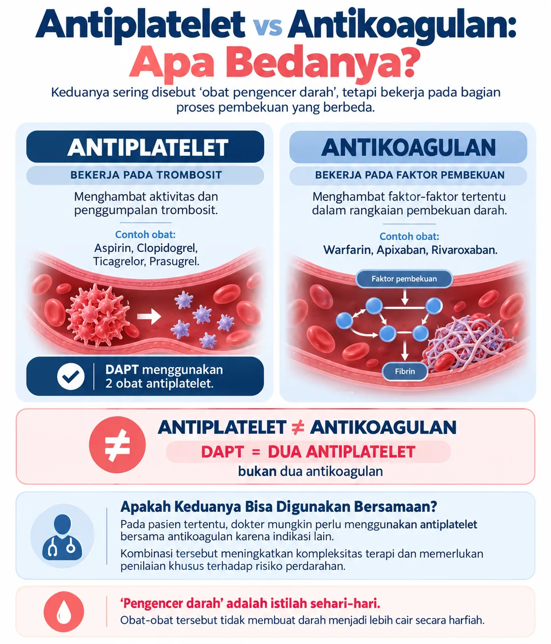 Infografis Heartology tentang perbedaan antiplatelet dan antikoagulan, contoh obat pada masing-masing kelompok, serta penjelasan bahwa DAPT terdiri dari dua obat antiplatelet.