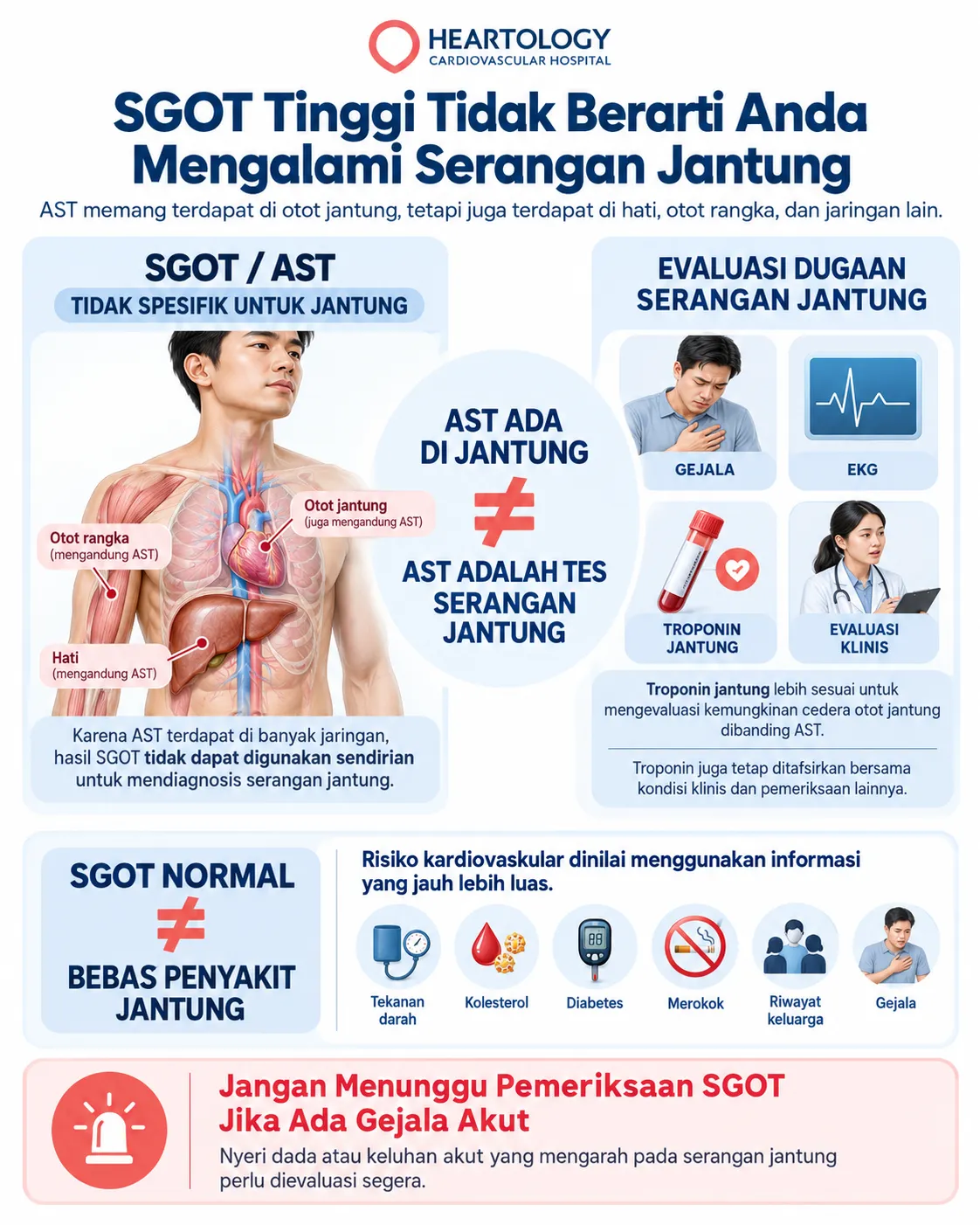 Infografik Heartology tentang SGOT atau AST tinggi dan serangan jantung, menjelaskan bahwa AST tidak spesifik untuk jantung serta menunjukkan bahwa dugaan serangan jantung dievaluasi melalui gejala, EKG, troponin jantung, dan pemeriksaan klinis.