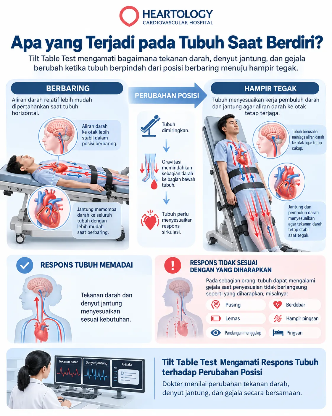 Infografik Heartology tentang Tilt Table Test yang menunjukkan pasien dari posisi berbaring hingga hampir tegak, perpindahan darah ke tubuh bagian bawah, respons jantung dan pembuluh darah, serta pemantauan tekanan darah, denyut jantung, dan gejala.