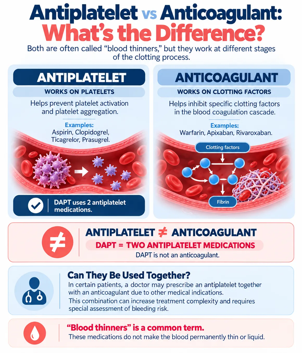 Heartology infographic comparing antiplatelet and anticoagulant therapy, including drug examples and explaining that DAPT uses two antiplatelet medicines.