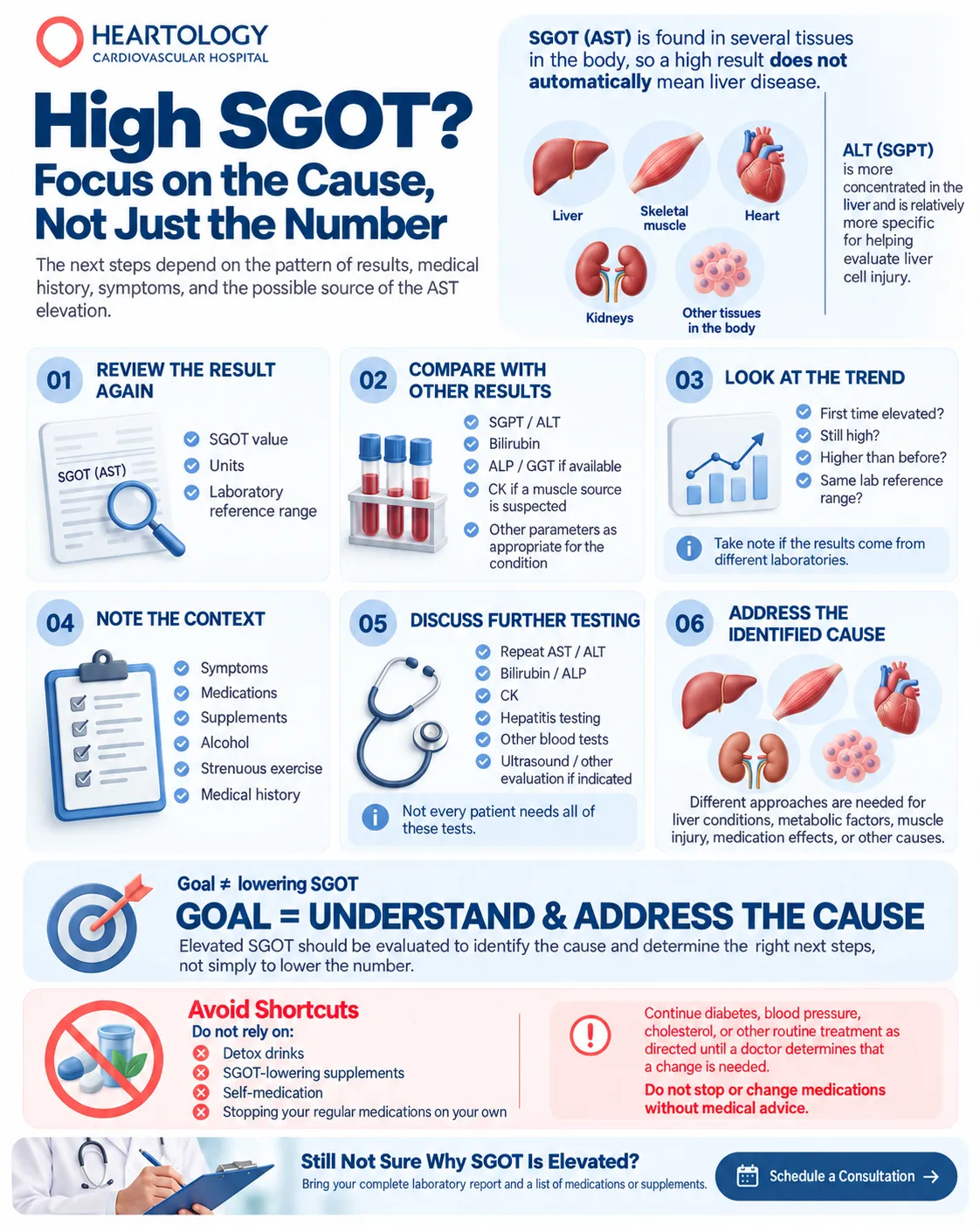 Heartology medical infographic outlining six steps for evaluating elevated SGOT (AST) levels, including reviewing blood test results, comparing related tests, monitoring trends, assessing clinical history, considering further testing, and addressing the underlying cause.