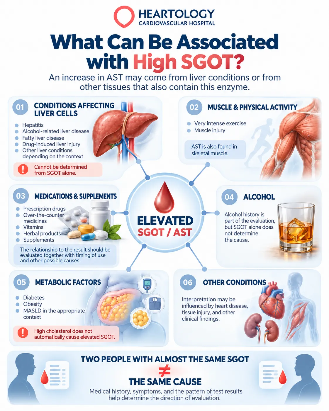 Heartology medical infographic illustrating six possible factors associated with elevated SGOT (AST) levels: liver conditions, muscle injury and exercise, medications and supplements, alcohol, metabolic disorders, and other medical conditions.