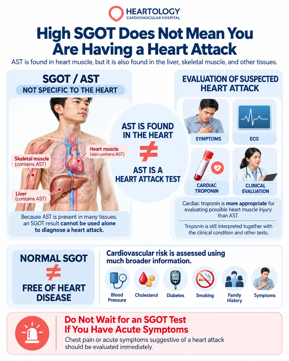 Heartology medical infographic explaining why high SGOT (AST) levels do not diagnose a heart attack, comparing AST with cardiac troponin, ECG, symptoms, and clinical evaluation.
