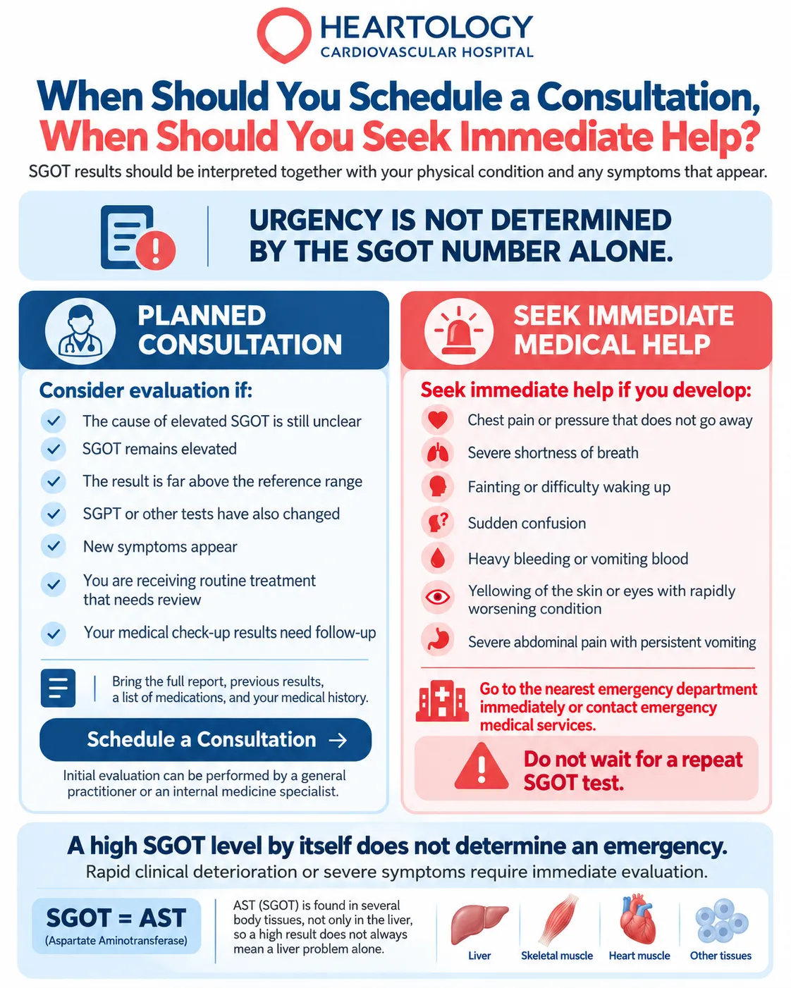 Heartology medical infographic comparing when to schedule a doctor consultation for elevated SGOT (AST) levels and when to seek emergency care for severe symptoms such as chest pain, breathlessness, fainting, or sudden confusion.