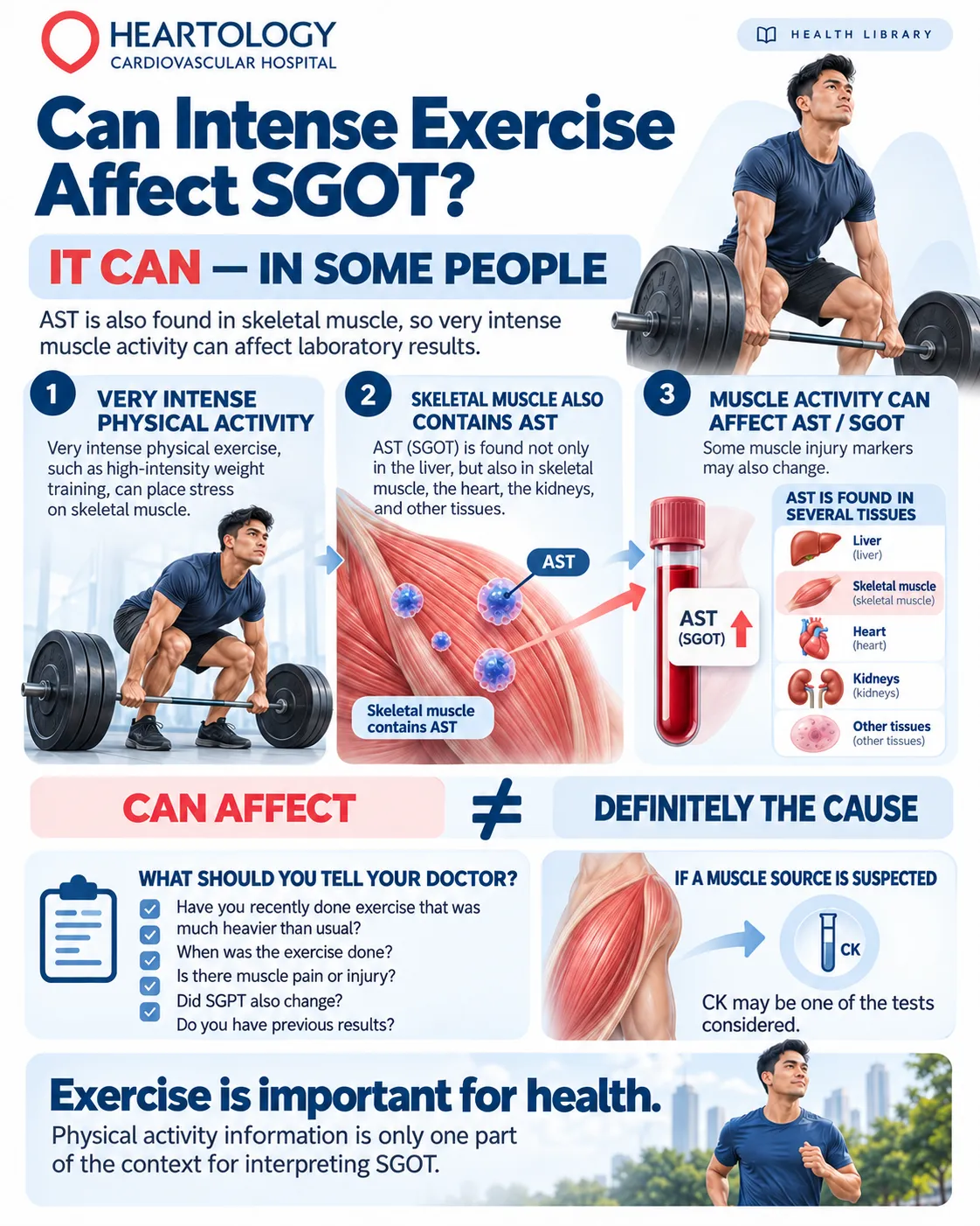 Heartology medical infographic explaining how intense exercise and heavy weightlifting may increase SGOT (AST) levels, illustrating AST in skeletal muscle and factors doctors consider when evaluating elevated results.